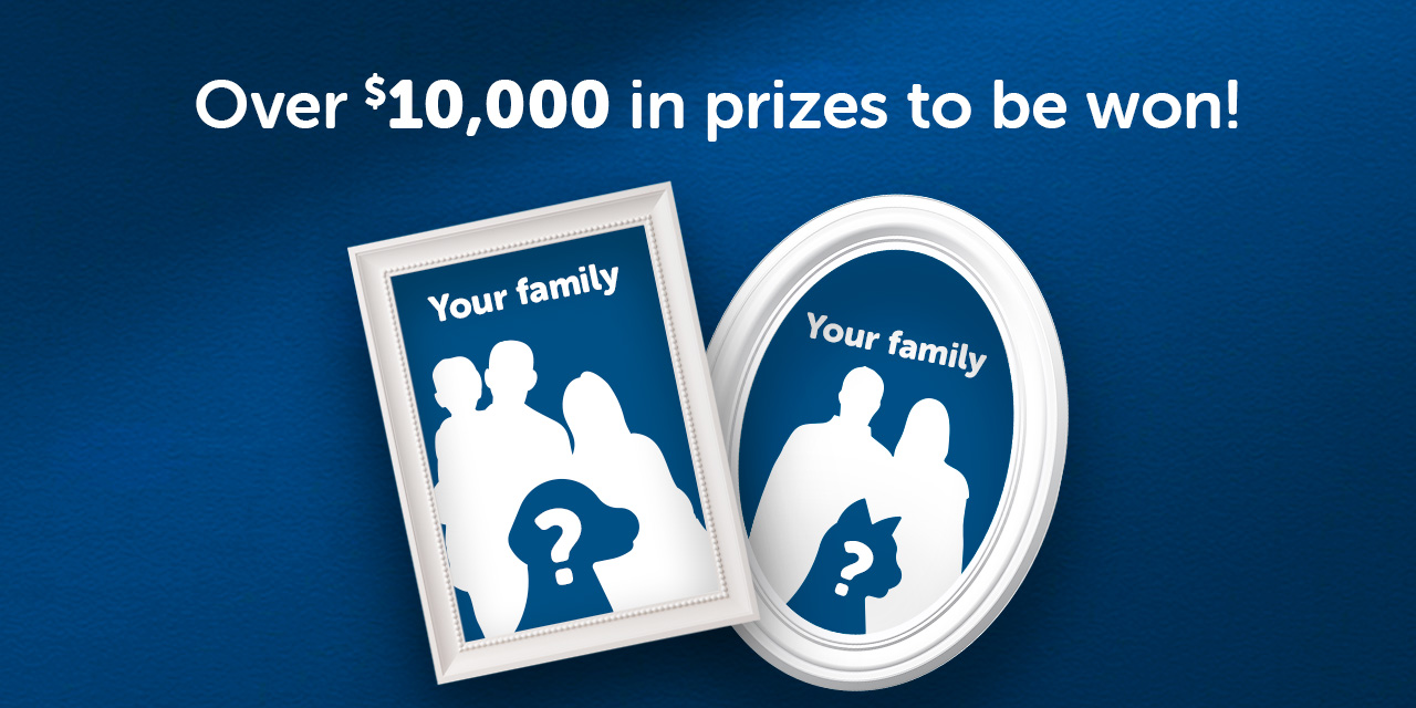 Contest