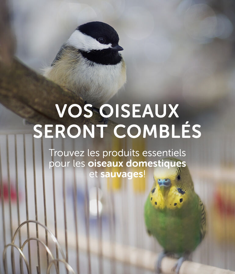 Produits et accessoires pour oiseaux - Mondou