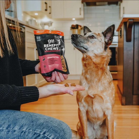 Gâteries « Benefit Chews Sensitivities » à ingrédients limités au saumon pour les chiens Image NaN