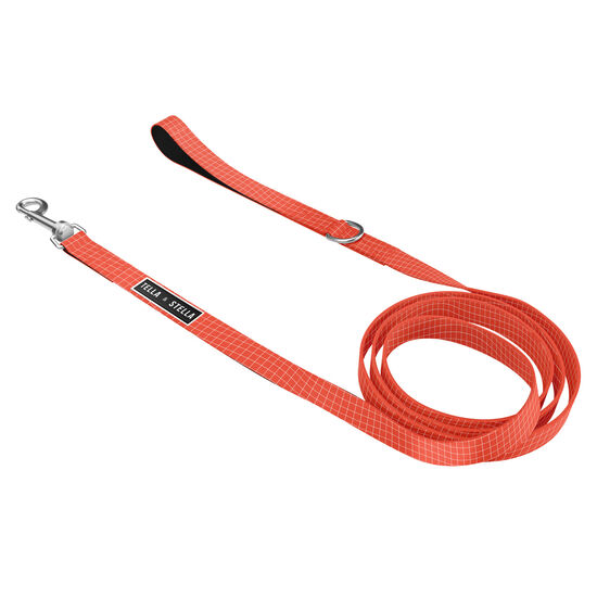 Tango Dog Leash Image NaN