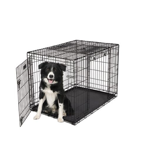 Crate for shop two large dogs