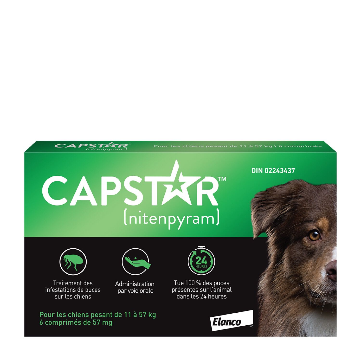 Capstar oral flea medication for clearance dogs