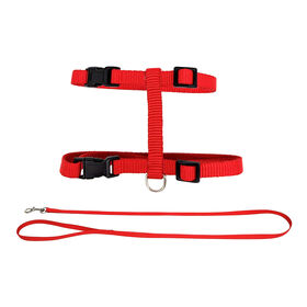 Harness and Leash Kit for Cats