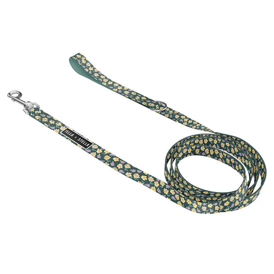 Margot Dog Leash Image NaN