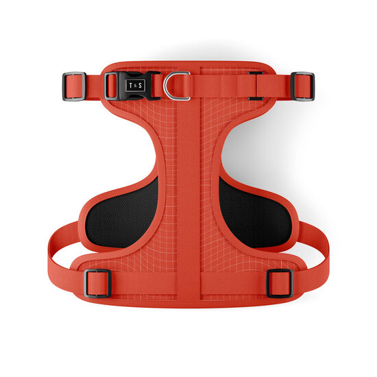 Tango Dog Harness Image NaN