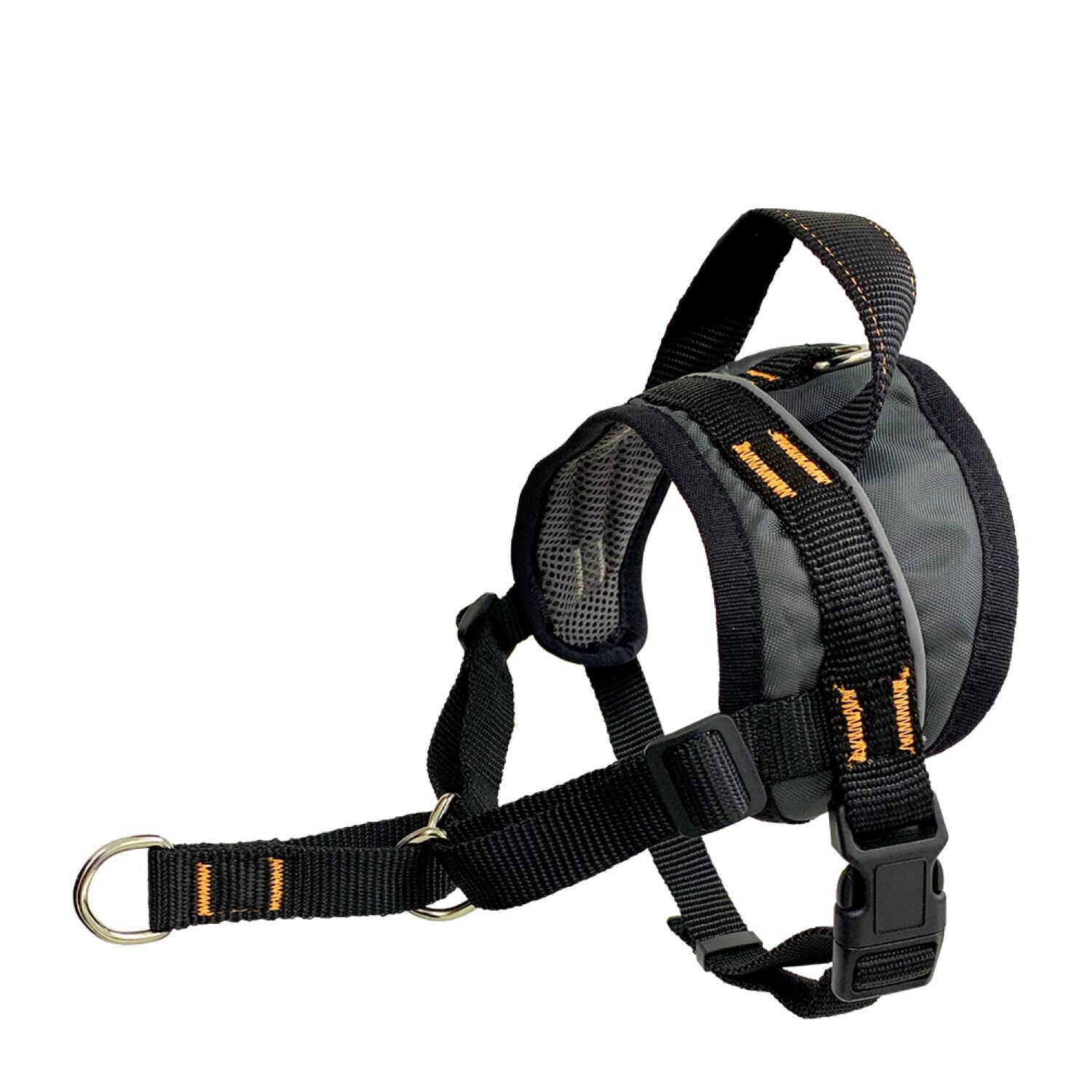 In training dog harness 2025