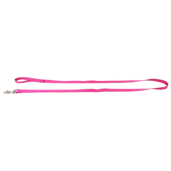 Nylon Leash for Dogs Image NaN