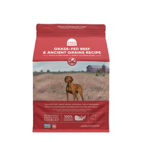 Grass-fed beef & ancient grains dry dog food