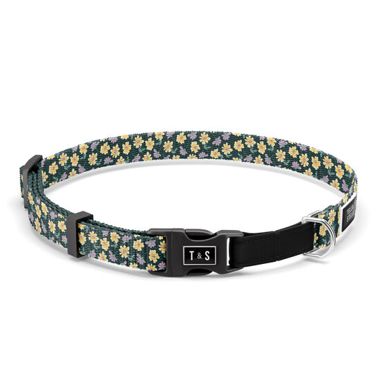 Margot Adjustable Cat Collar Image NaN