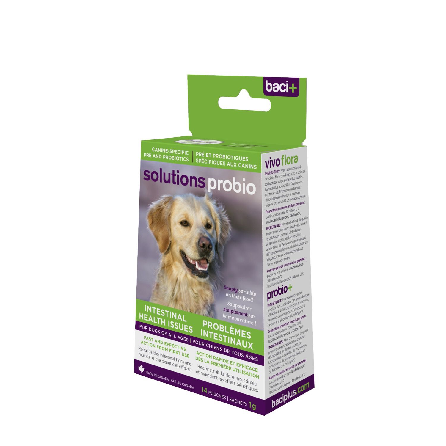 De powder for store dogs