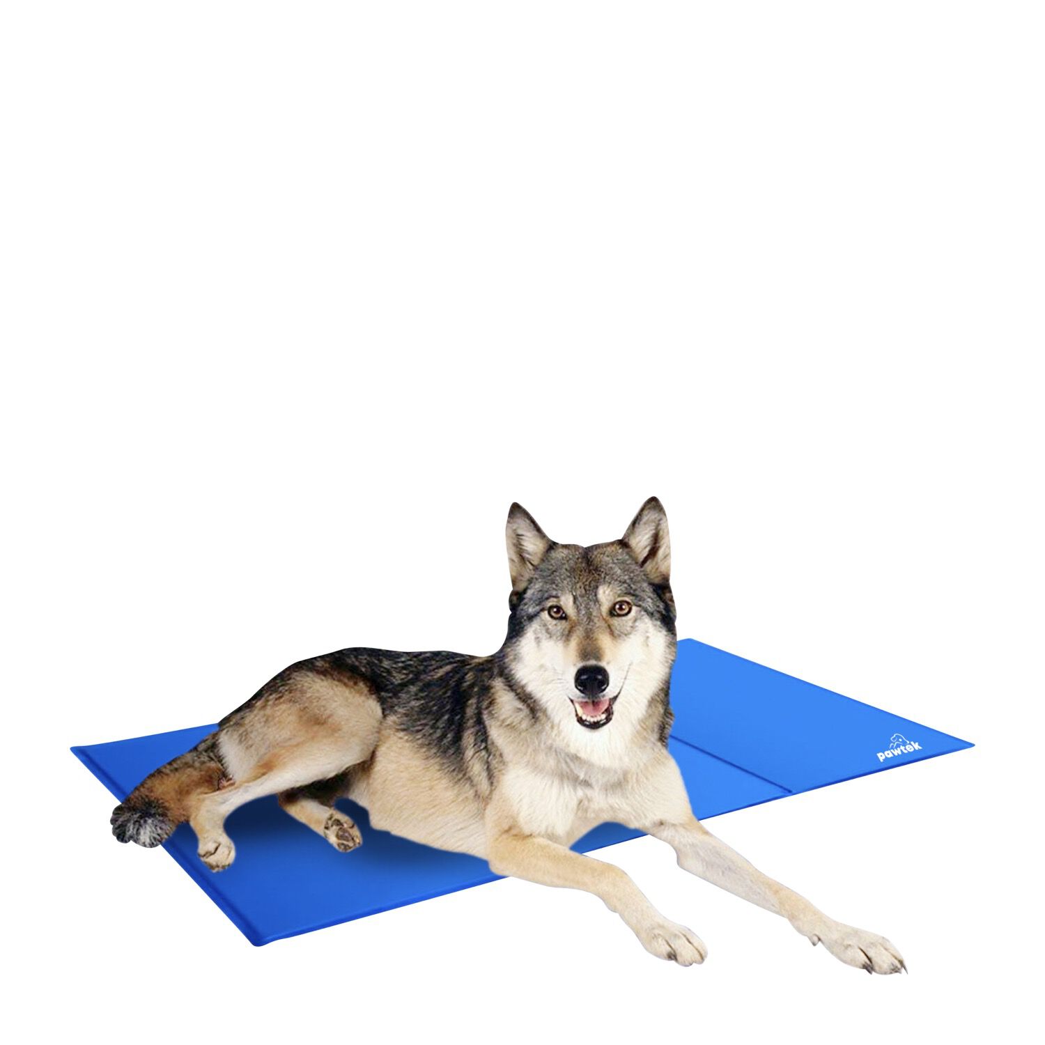 Pet valu shop cooling mat