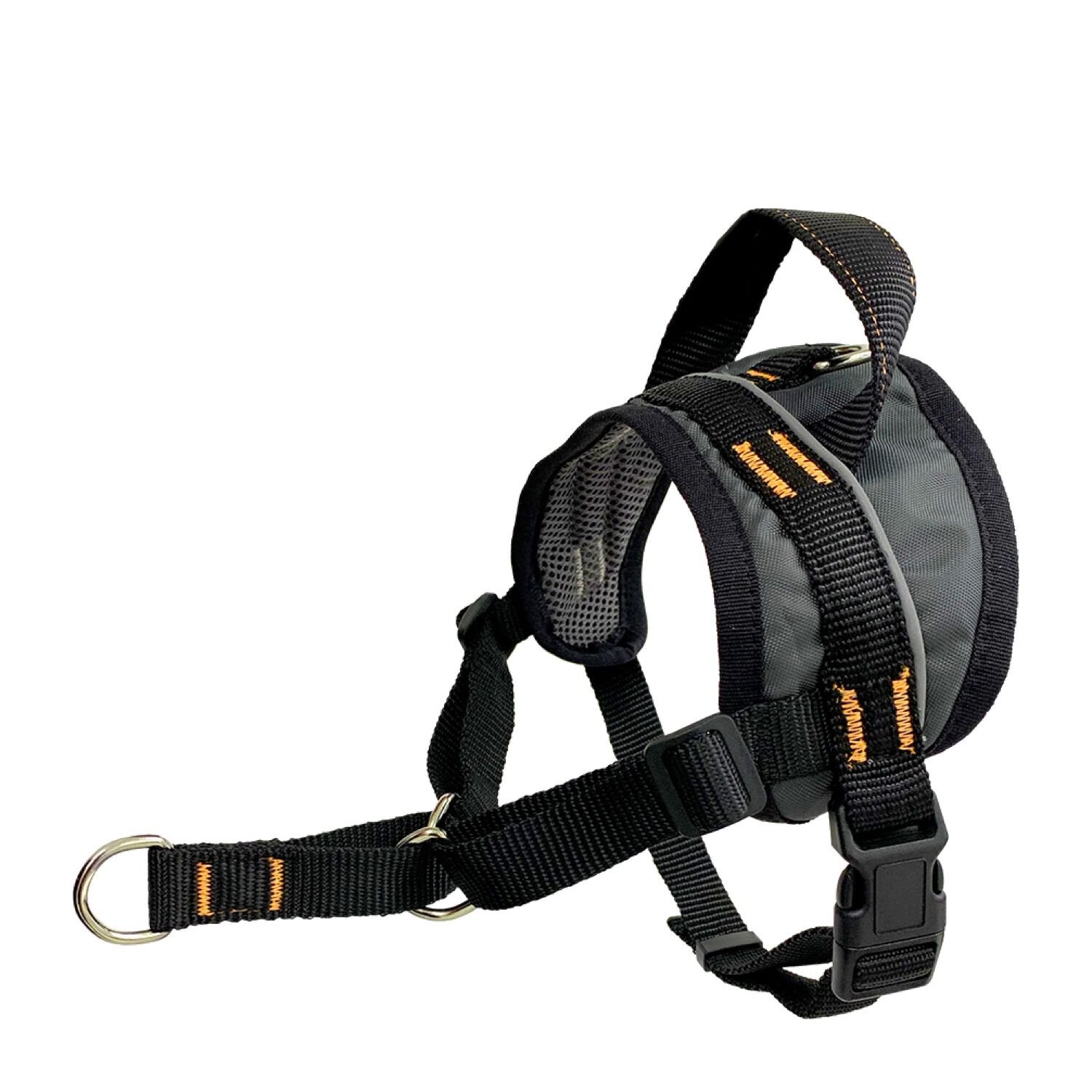 Kurgo harness cheap petsmart