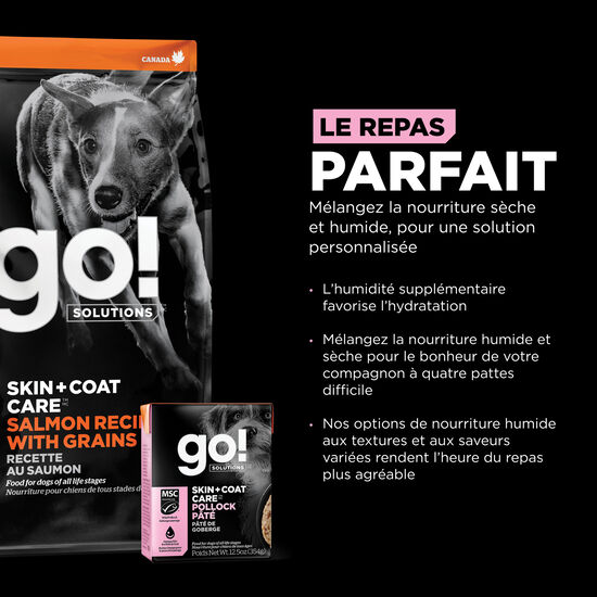 Skin and Coat Care Pollock Pâté for Dogs, 354 g Image NaN