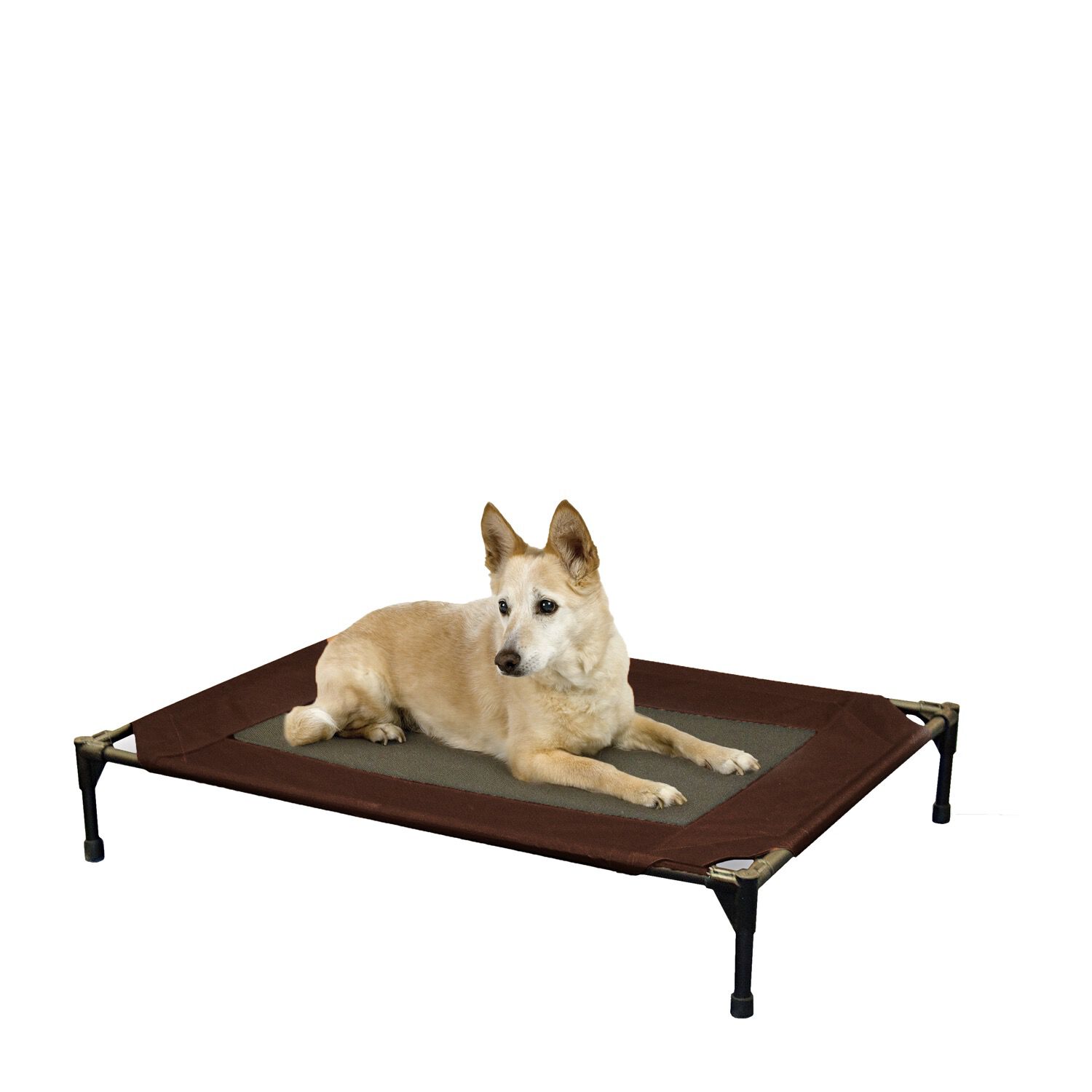 Dog cot discount