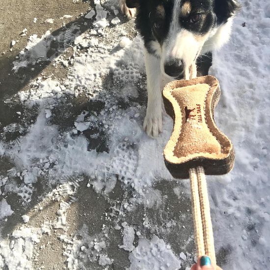 Natural Leather Bone Dog Tug Toy Image NaN