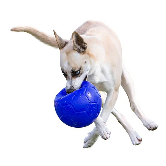 Jouet occupation pour chien - Ballon de Football US - SodaPup – inooko