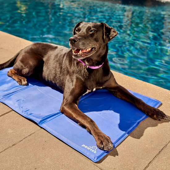 Tapis rafraîchissant pour animaux Image NaN