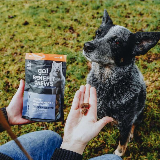 Gâteries « Benefit Chews Weight Management + Joint Care » au poulet pour les chiens Image NaN