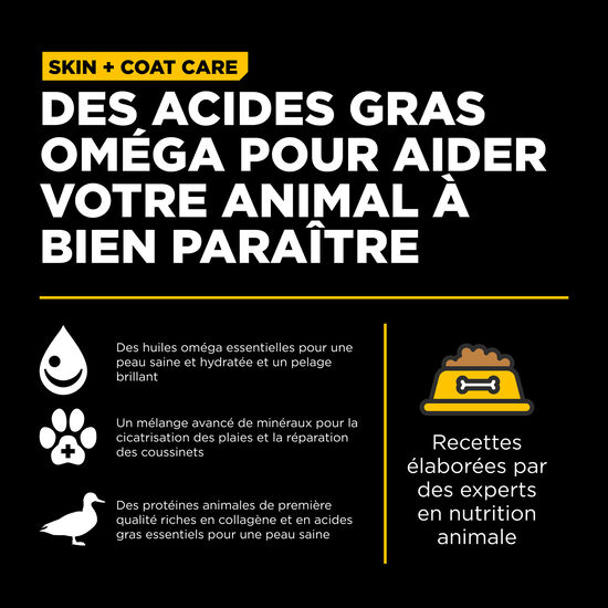 Recette « Skin + Coat Care » au canard avec grains pour chiens, 5,44 kg Image NaN