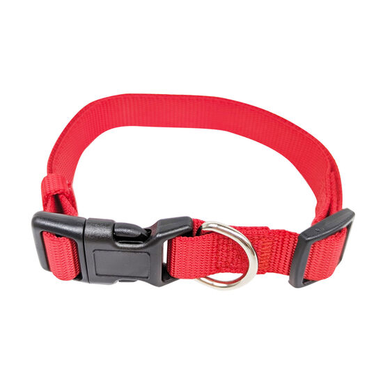 Nylon Collar for Dogs Image NaN