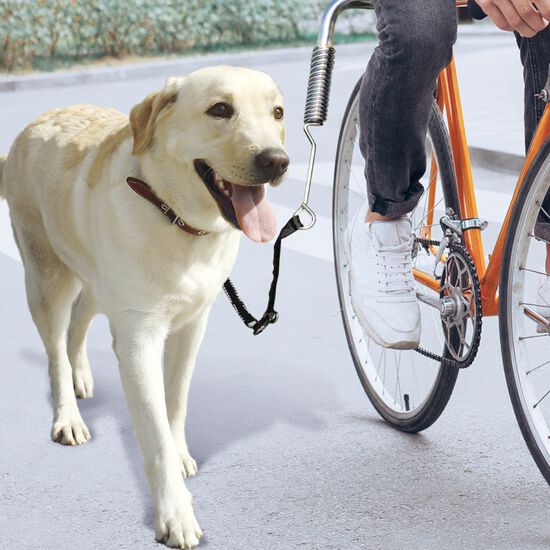 Faire du vélo avec un chien accessoires WALKY DOG - DOGFRENCHTOUCH