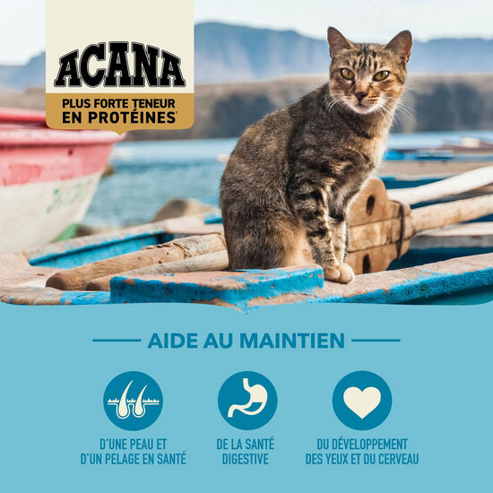 Recette Pacifica Plus forte teneur en protéines pour chats, 1,8 kg Image NaN
