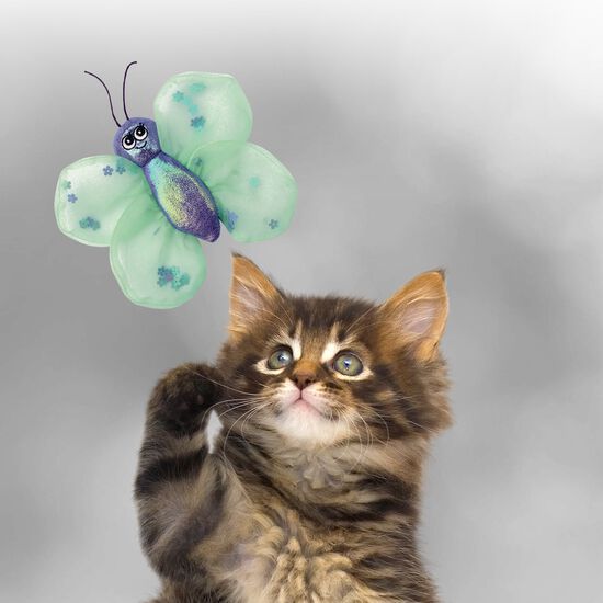 Jouet Better Buzz Pour Chats Papillon