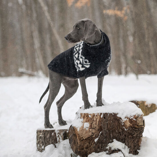 Tricot pelucheux pour chiens Image NaN