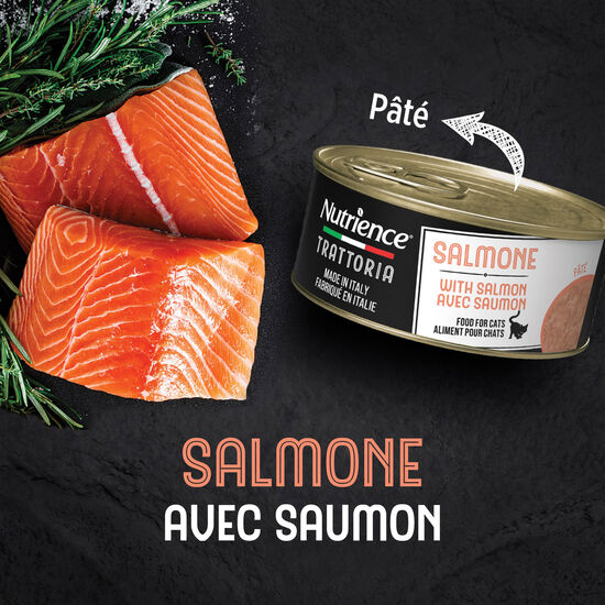 Nourriture humide Trattoria avec saumon pour chats, 85 g Image NaN