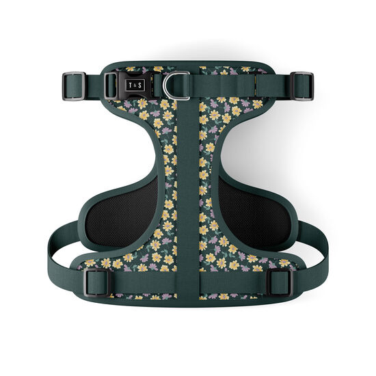 Margot Dog Harness Image NaN