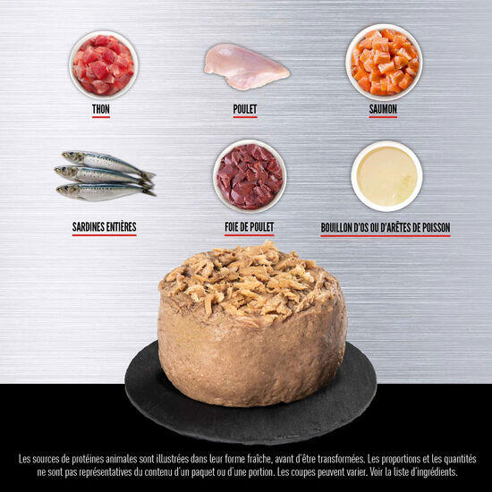 Tuna and Beef Entrée for Cats, 85 g Image NaN