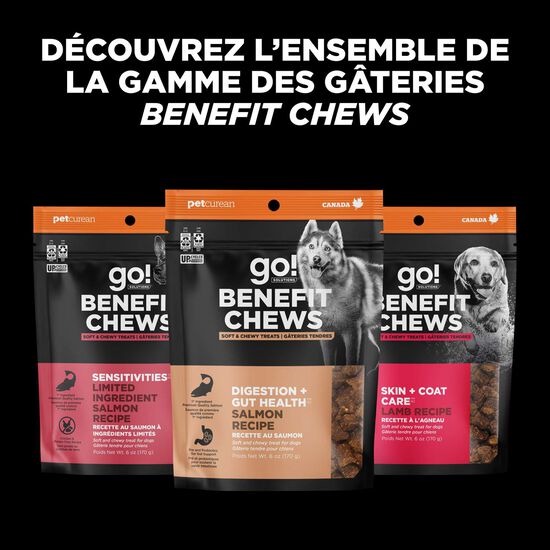 Gâteries « Benefit Chews Digestion + Gut Health » au saumon pour les chiens Image NaN