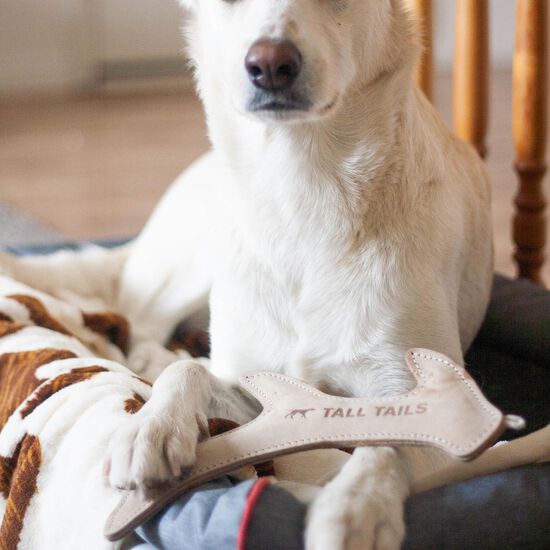 Natural Leather Antler Dog Toy Image NaN