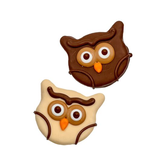 Biscuit hibou « You're a Hoot » pour chiens Image NaN