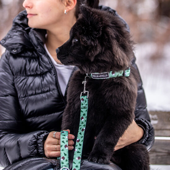 Collier réglable pour chien « Chalet d'hiver », G Image NaN