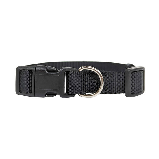 Nylon Collar for Dogs Image NaN