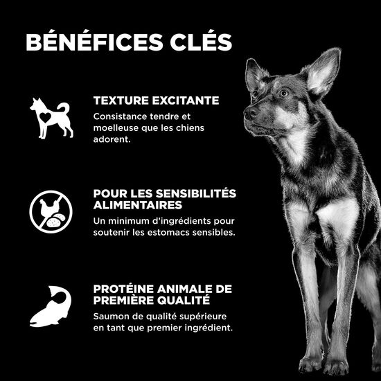 Gâteries « Benefit Chews Sensitivities » à ingrédients limités au saumon pour les chiens Image NaN