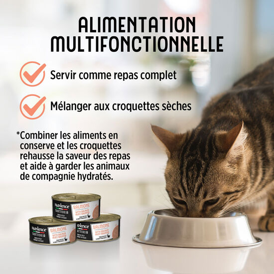 Nourriture humide Trattoria avec saumon pour chats, 85 g Image NaN