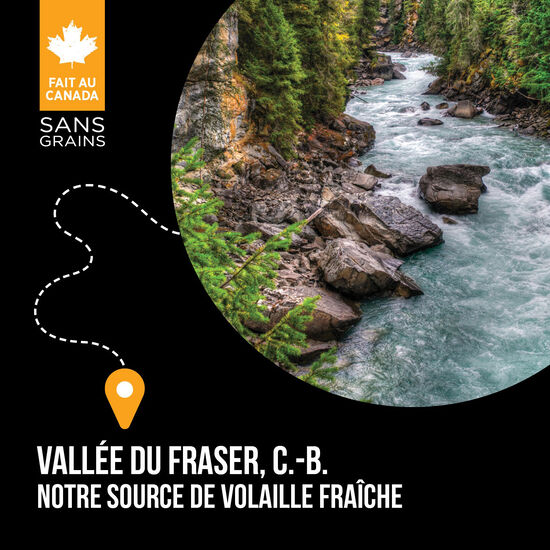 Nourriture sèche Vallée du Fraser pour chiens Image NaN