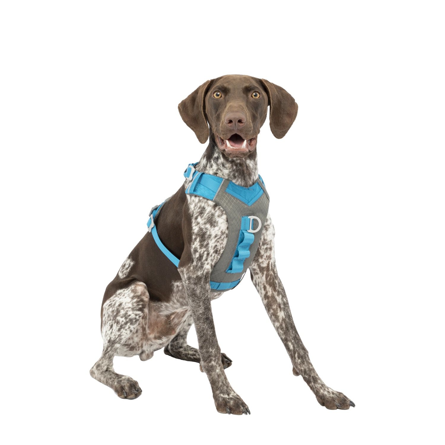 Dog harness kurgo hotsell