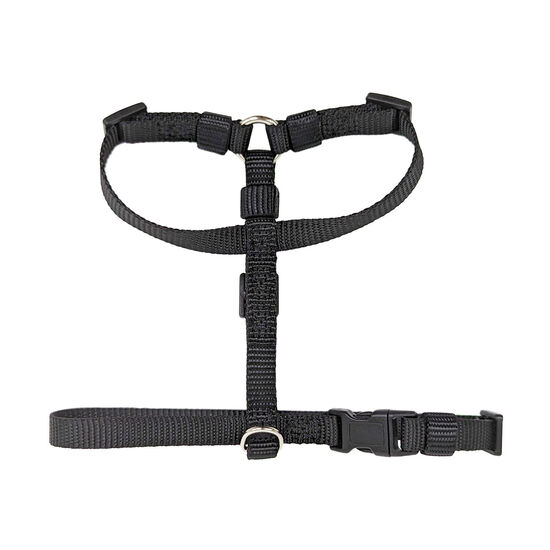 Harness for Dogs Image NaN