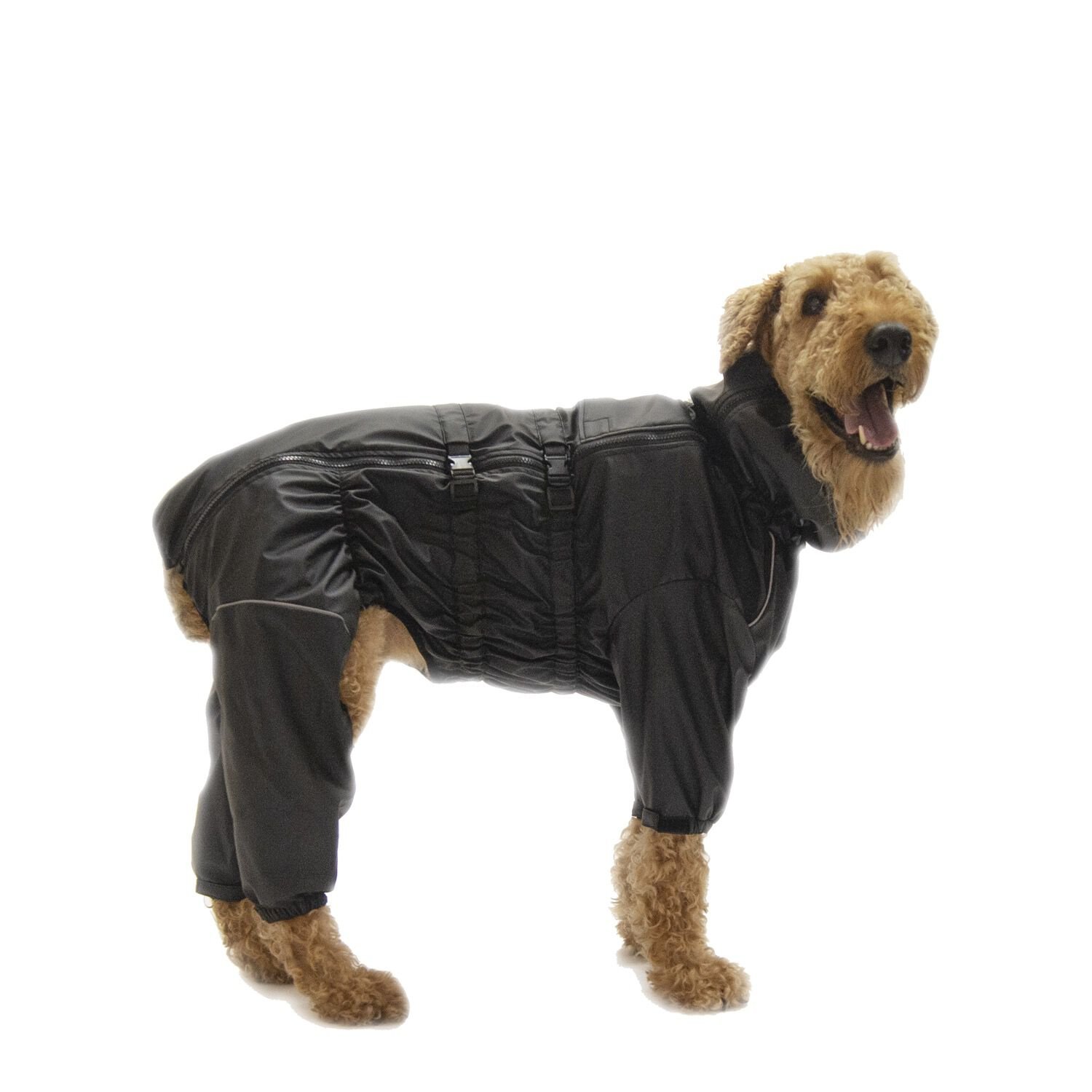 Dog top winter suit