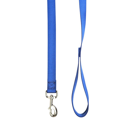 Nylon Leash for Dogs Image NaN