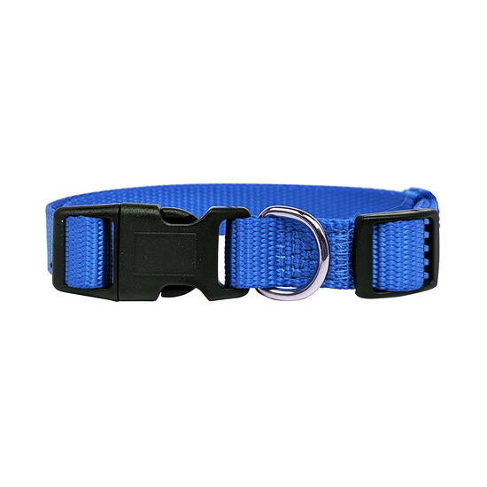 Nylon Collar for Dogs Image NaN