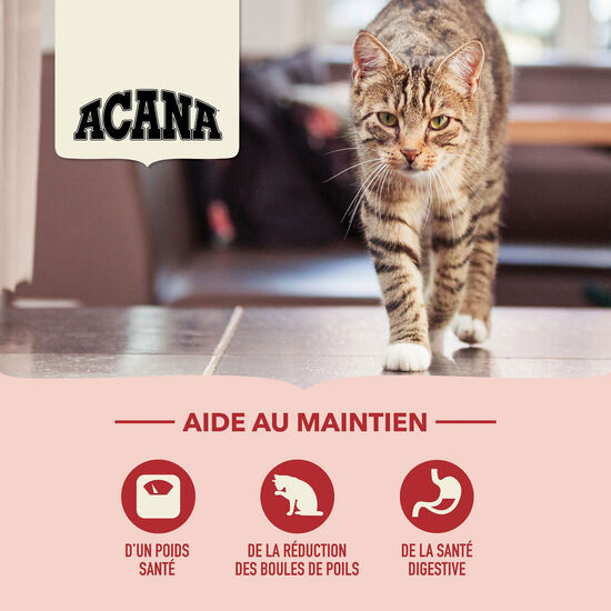 Nourriture sèche Régal d'intérieur pour chats, 1,8 kg Image NaN