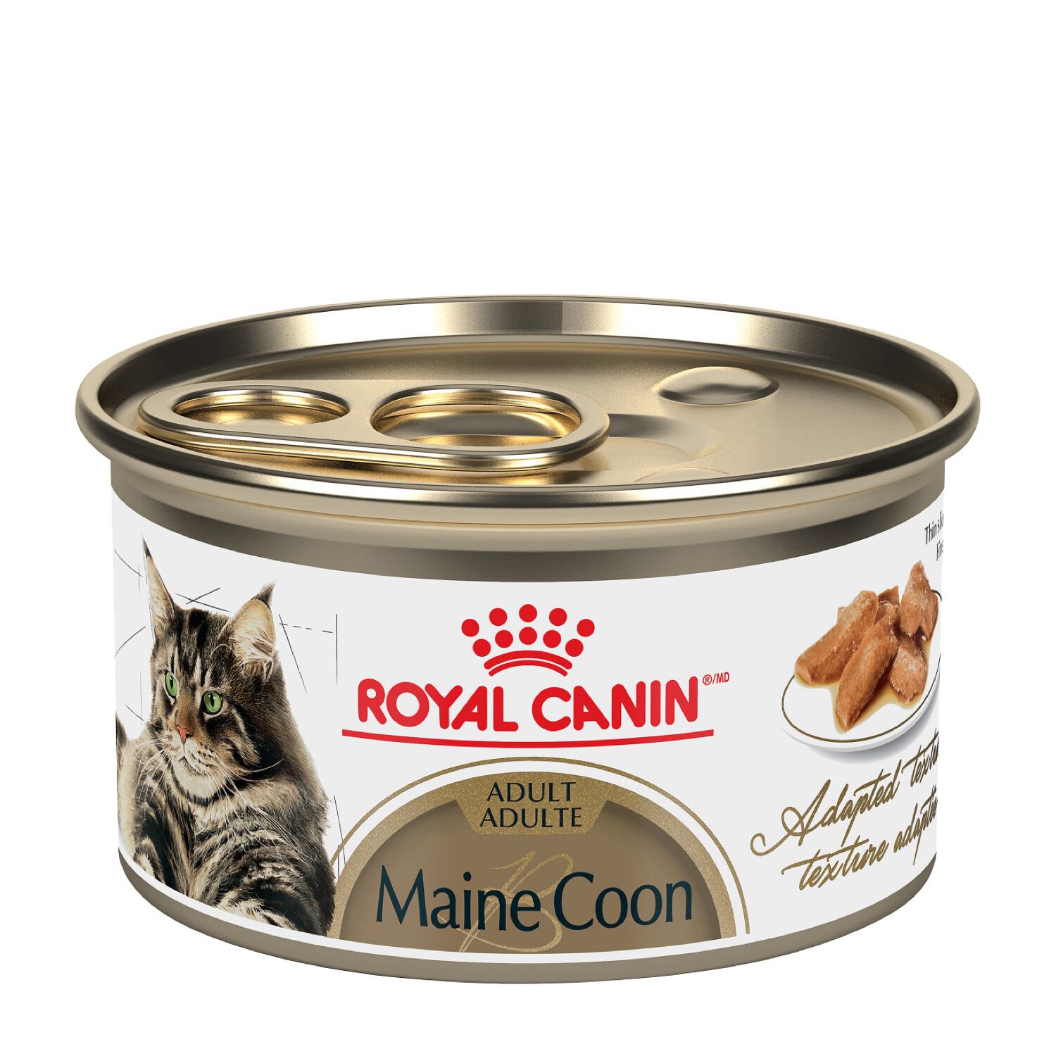 maine coon wet cat food