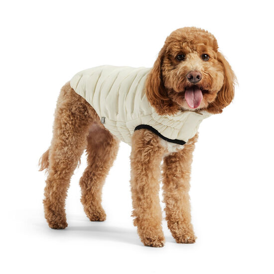 Parka nuage pour chiens Image NaN