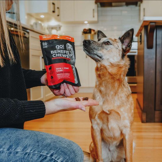 Gâteries « Benefit Chews Skin + Coat Care » à l’agneau pour les chiens Image NaN