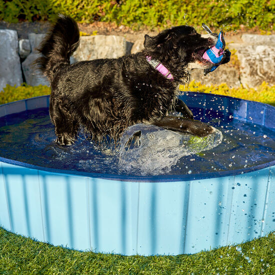 Foldable and Portable Pet Pool Image NaN