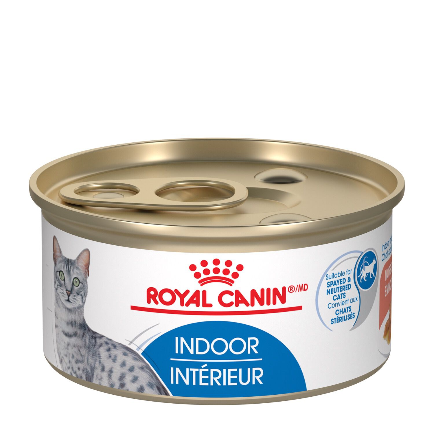 Indoor wet cheap cat food